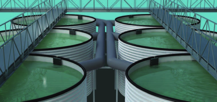 Aquaculture